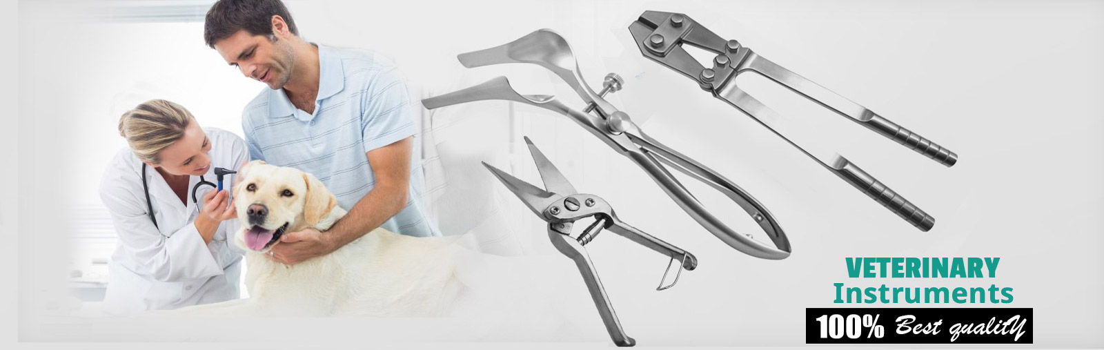 Veterinary Instruments - Dentelo Surgical International